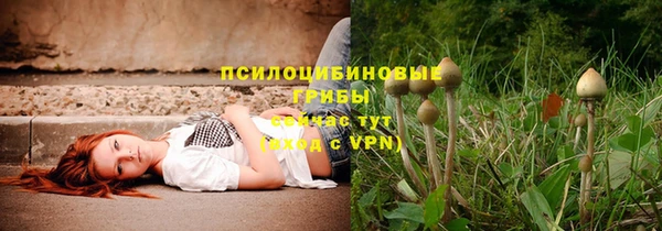 эйфоретик Алексин