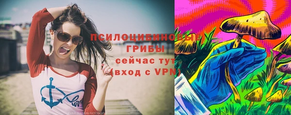эйфоретик Алексин