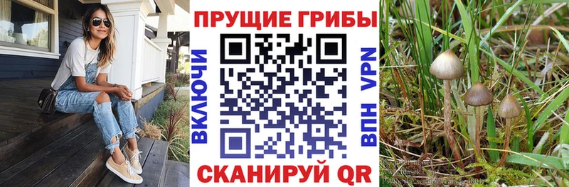 Галлюциногенные грибы ЛСД  Брюховецкая 