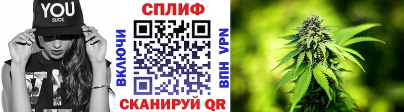 Бошки марихуана Ganja  blacksprut как войти  Брюховецкая 